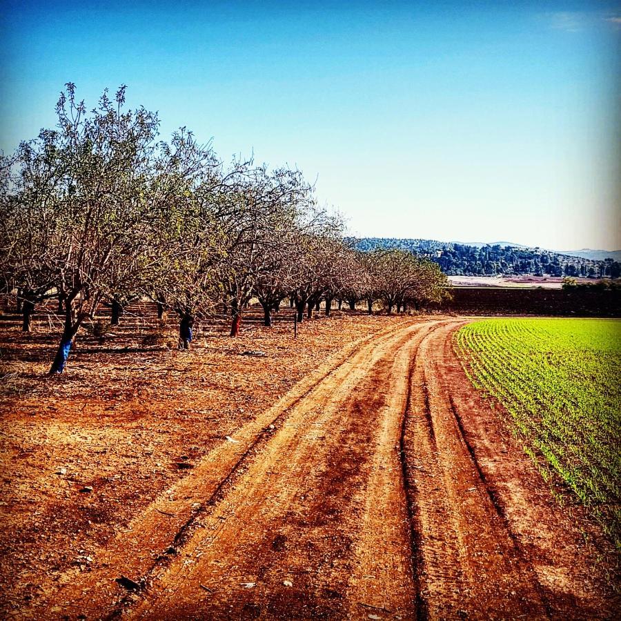 Kibbutz Nachshon Bed & Breakfast ภายนอก รูปภาพ