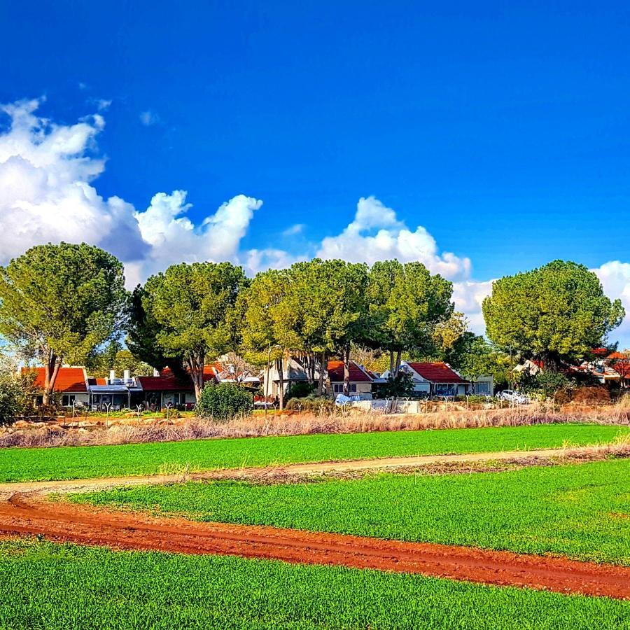 Kibbutz Nachshon Bed & Breakfast ภายนอก รูปภาพ