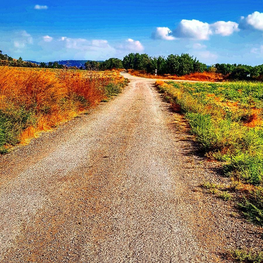 Kibbutz Nachshon Bed & Breakfast ภายนอก รูปภาพ