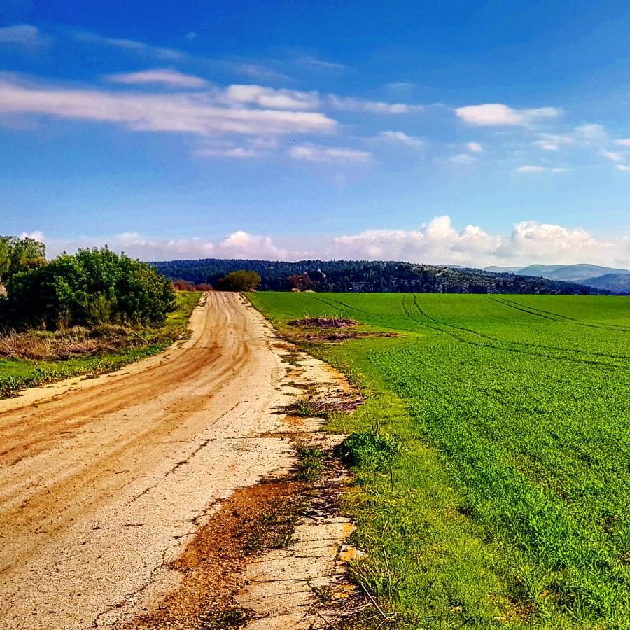 Kibbutz Nachshon Bed & Breakfast ภายนอก รูปภาพ