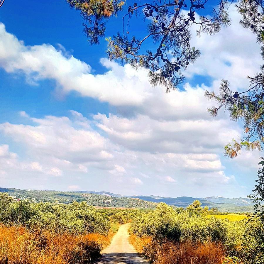 Kibbutz Nachshon Bed & Breakfast ภายนอก รูปภาพ