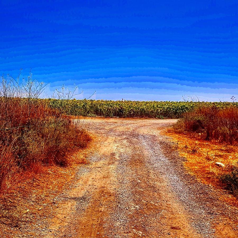 Kibbutz Nachshon Bed & Breakfast ภายนอก รูปภาพ